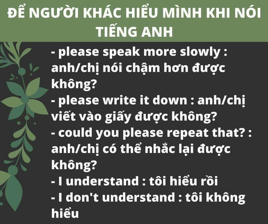 câu giao tiếp