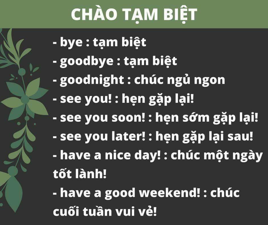 câu giao tiếp