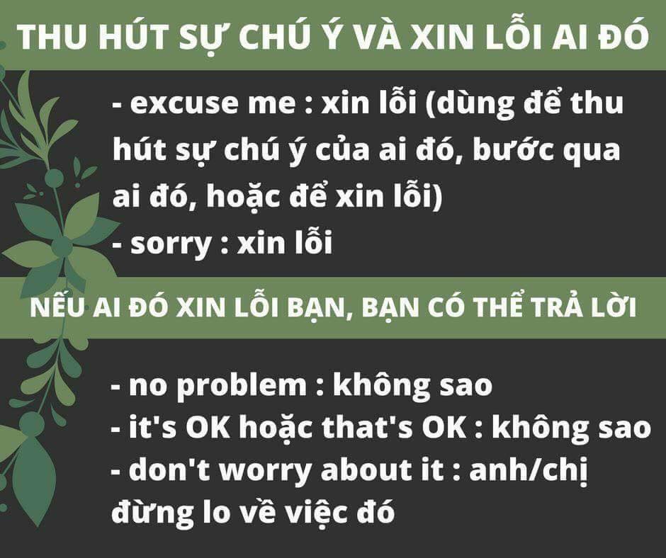 câu giao tiếp