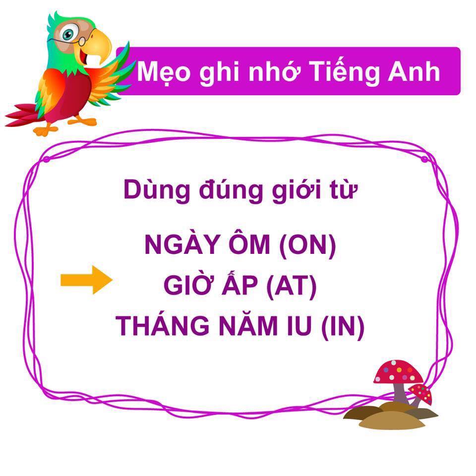 Cùng Sunrise học tiếng Anh