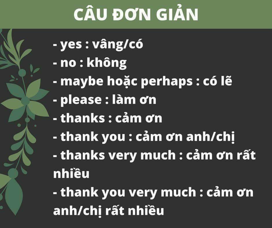 câu giao tiếp