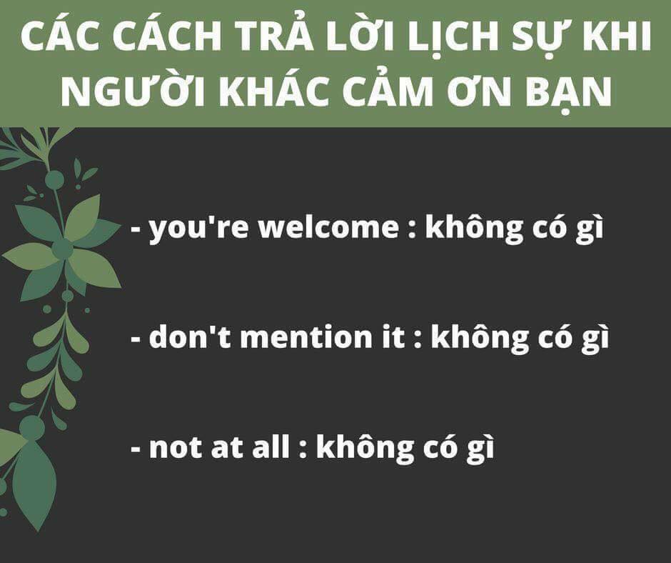 câu giao tiếp