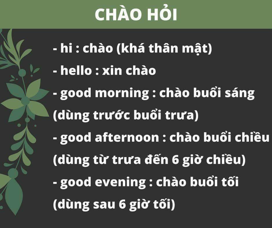 câu giao tiếp