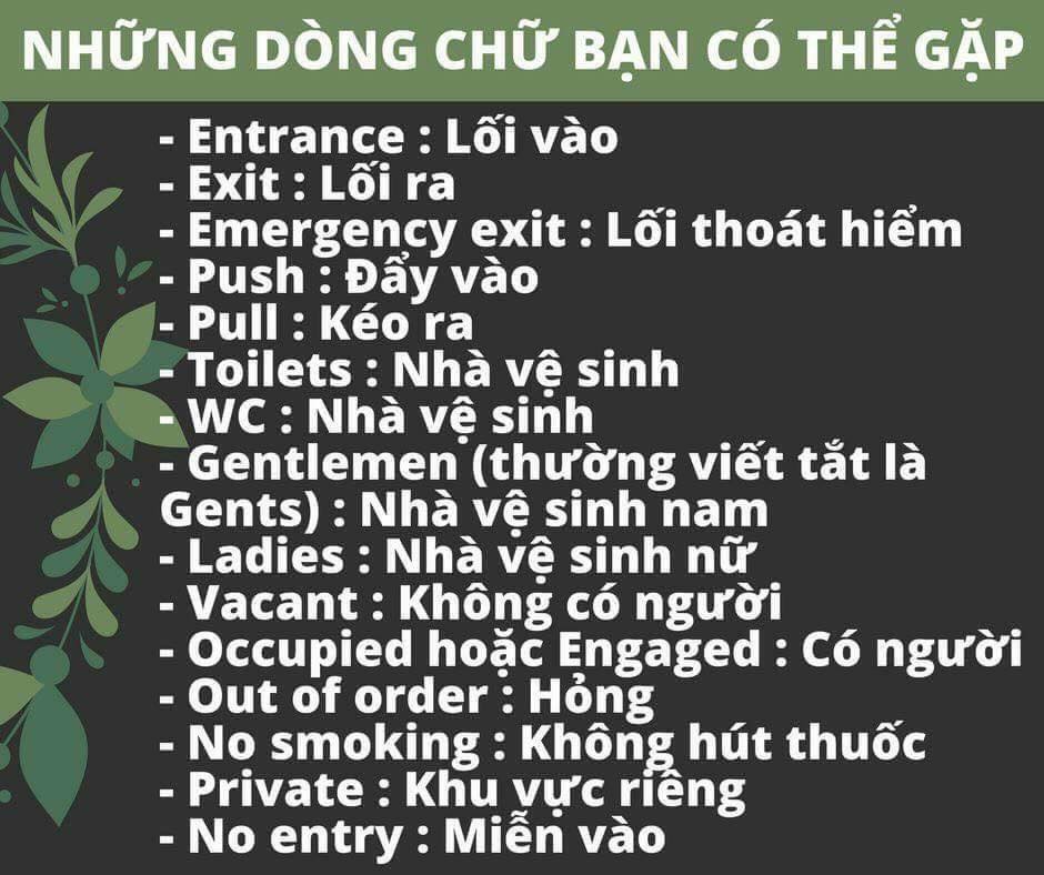 câu giao tiếp