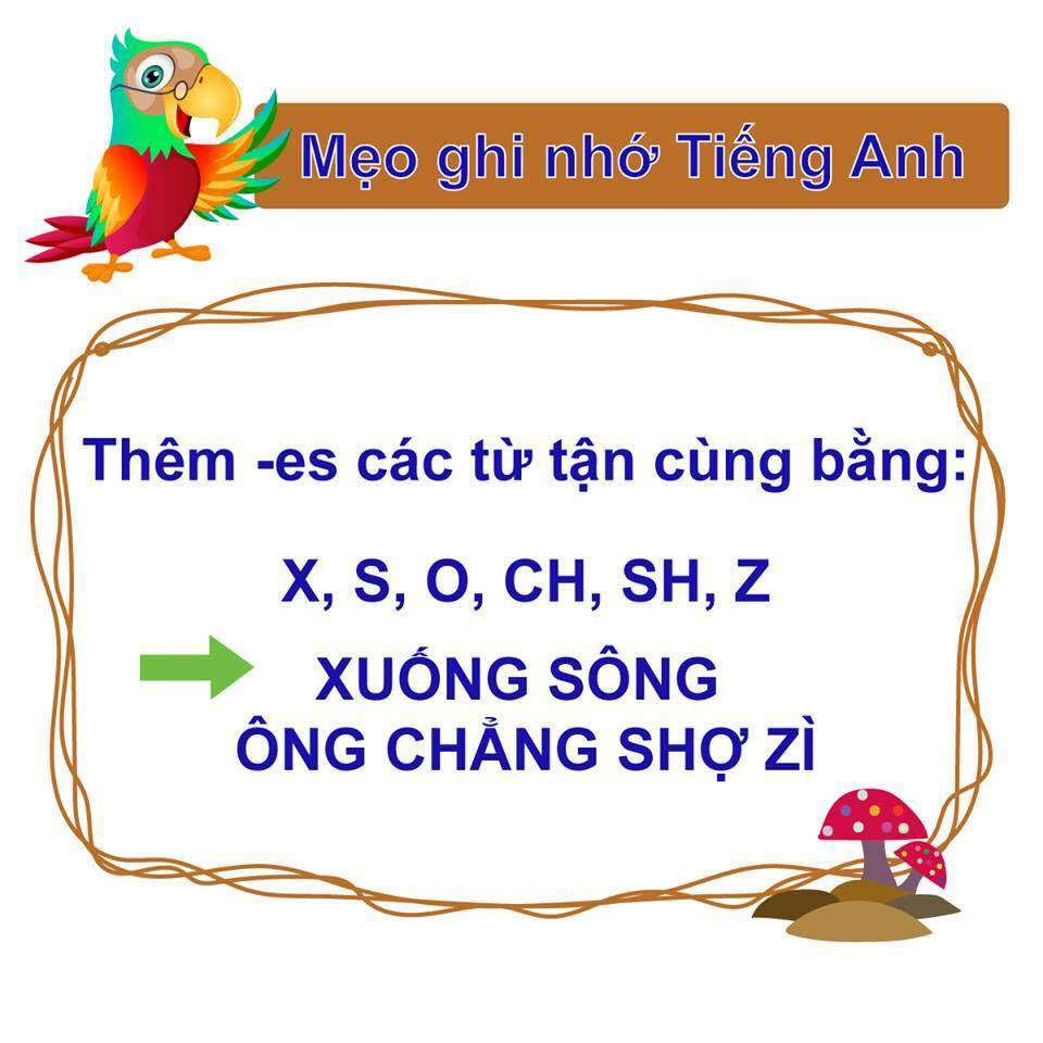 Cùng Sunrise học tiếng Anh